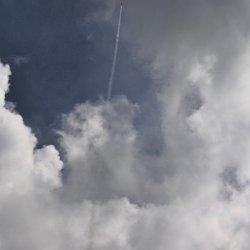 img_0503 petr adam vyskovka cerno zluta - let wr